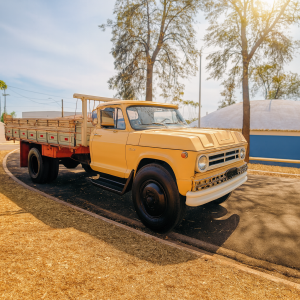 1967 Chevrolet caminhão d60 único dono impecável